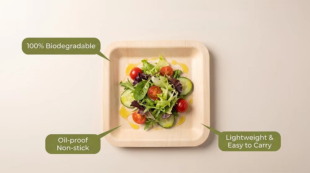 Disposable square wooden plates